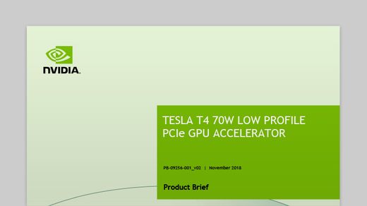 Nvidia Tesla T4 (16Gb / GDDR6 / 256 bit / 2560 CUDA)